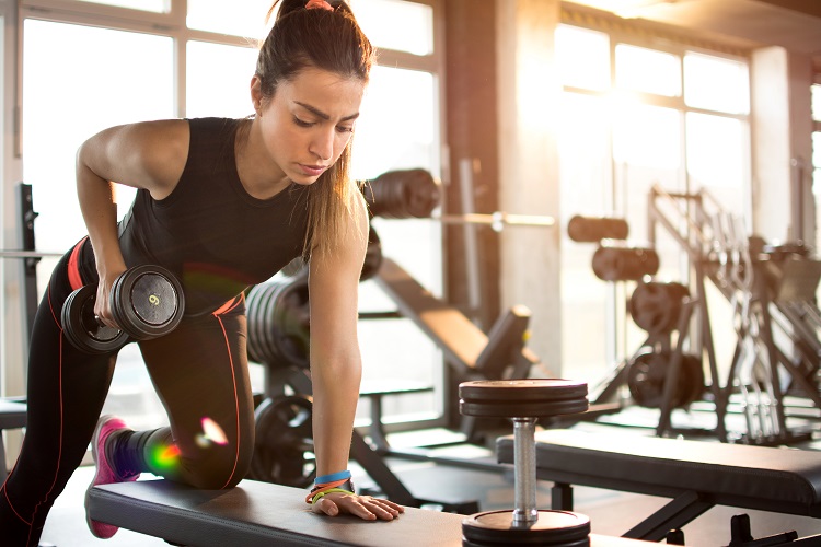 best workout bench for home